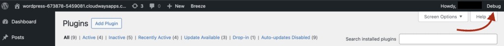 Debug bar access location